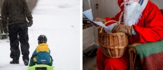 Glädjebeskedet inför jul: Hygglig chans för snö • "Ser ut att komma en del"