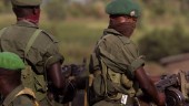 50 döda i strider i Kongo-Kinshasa