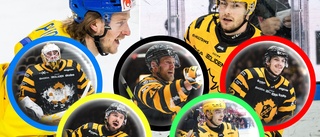 Så stor sannolikhet har AIK:s stjärnor att spela OS – Norrans lista: "En av de häftigare hockeysagorna – bäst i SHL men petas ändå"