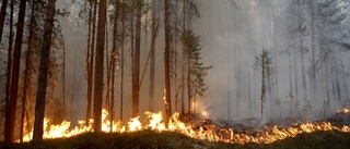 Risk för skogsbränder i sommar – då försvinner brandbilen