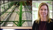 Över 50 personer jobbar med Copperstones ansökan • Tusentals sidor skrivs • "Osäkerheten finns alltid"