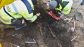 Hittade huvudlöst skelett och vikingagård i Vallstena: "Man är lite lyckligt lottad"
