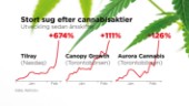 Tusentals svenskar med på cannabis-rallyt