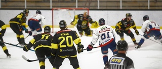 Vimmerby Hockey lånar in back från SHL-klubben