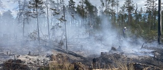 Skogsbrand norr om Blåfors: Område på 100 gånger 50 meter som brann