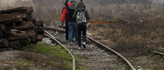 EU stoppar gränsinsatser i Ungern