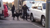 TV: Bombhundar söker av platsen