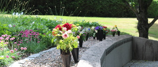 Vem stjäl blommorna på kyrkogården? "Fruktansvärt"