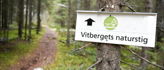 Ingen lösning för ett reservat på Vitberget trots beslut – kommer inte överens med markägarna: ”Det vore enklare”
