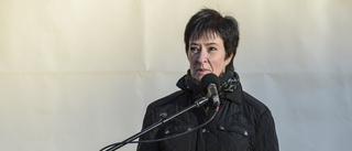 Mona Sahlin summerar sitt politiska liv