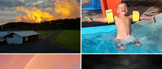 Här är läsarnas inskickade sommarbilder från vecka 28