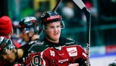 SHL-meriterad forward förstärker Piteå Hockey