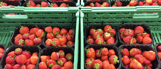 Dyrköpt läxa för jordgubbsförsäljare utan tillstånd