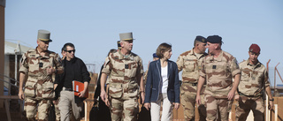 Sverige inte med när ny insats inleds i Mali