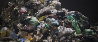 Smugglade ruttnade avfall – minister gripen