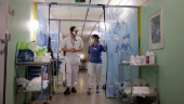 Ny rapport: 800 smittade östgötar har dött under pandemin 