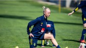 Matchguide: Österrike–Sverige