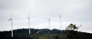 Här planeras ny vindkraftspark i Norrbotten