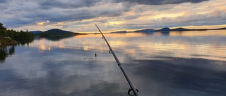 På fiskafänge i Arjeplog i kvällssol