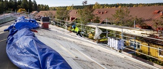 Skellefteföretag växer snabbt i Umeå