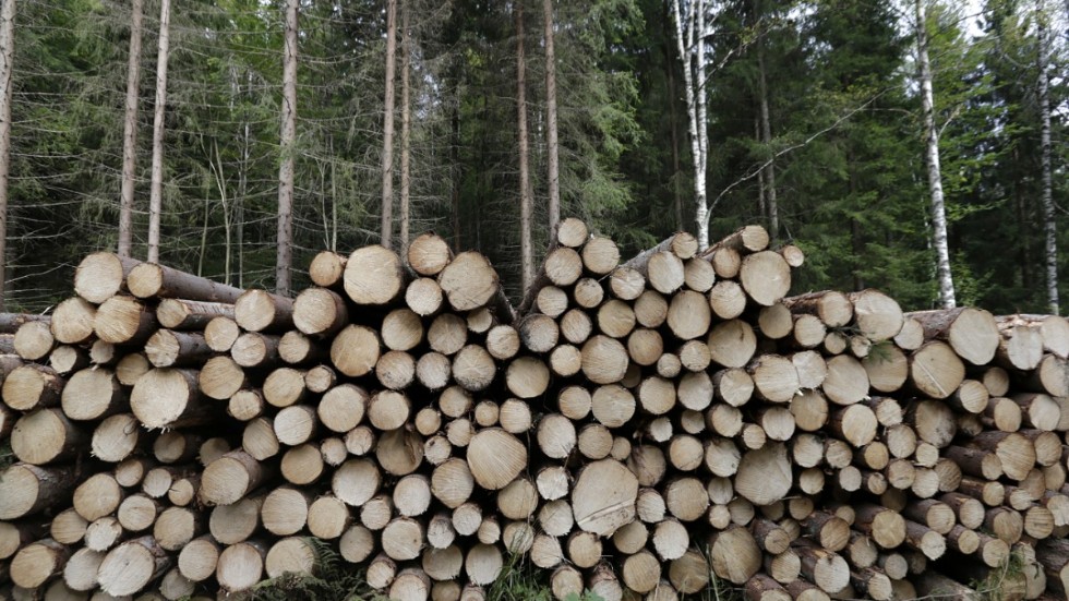 Vi delar miljörörelsens allvar och respekt för naturen men vår oro gäller i första hand att inte lyckas hålla skogen vid liv, skriver sex ordföranden i Södra skogsbruksomräden i Östergötland.