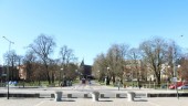 80 sjuka träd tas bort i centrala Linköping: "Stadsbilden blir annorlunda" • Försök med att vaccinera almar inleds