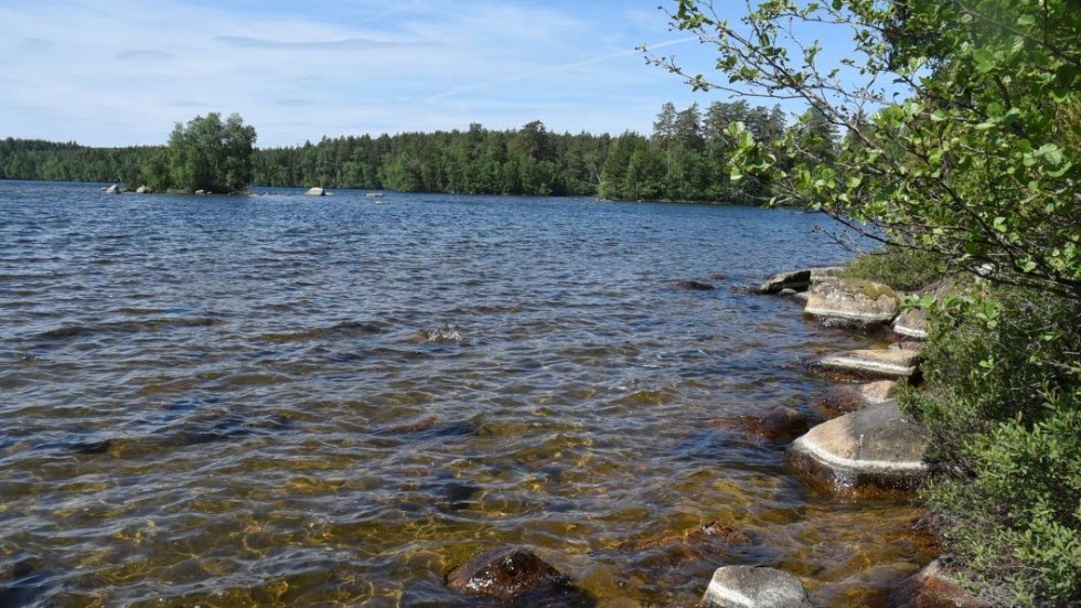 Att sitta på en sten vid en sjö i en skog som Per Gessle skaldade går utmärkt i dessa dagar. Här en vy från Skiresjön vid Knabbarp.