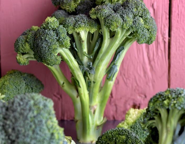 I dag är det vegetariska dagen och skribenten uppmanar alla att se den som ett startskott för att börja äta mer växtbaserat.