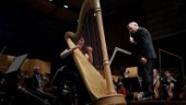 Rymling tolkade östgötamusik med harpa