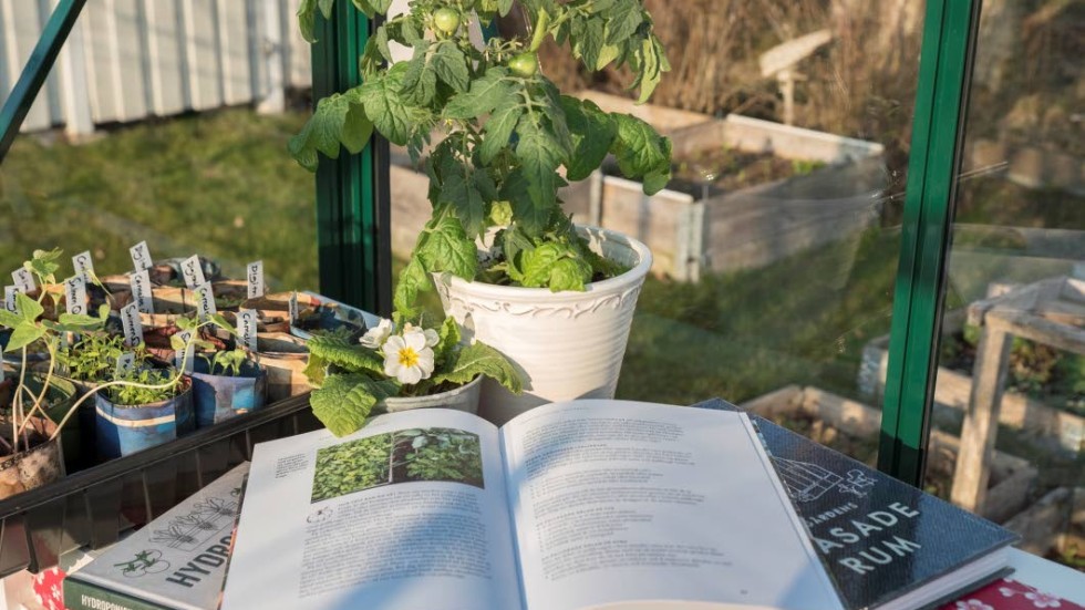 Lika härligt som det är att odla är det att slå sig ner i växthuset eller favoritfåtöljen med vårens nya skörd av trädgårdsböcker.
