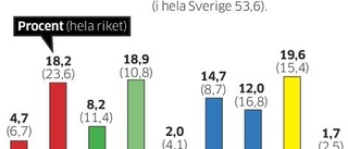 SD blev största parti i Ydre