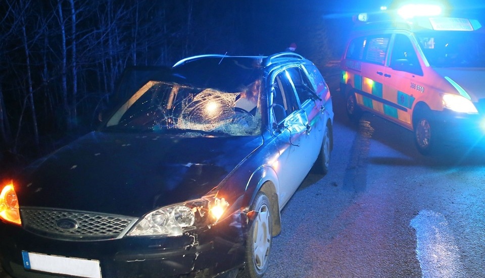 Bilen blev rejält demolerad efter krocken med älgen.