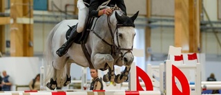 Hugo klar för Göteborg horse show