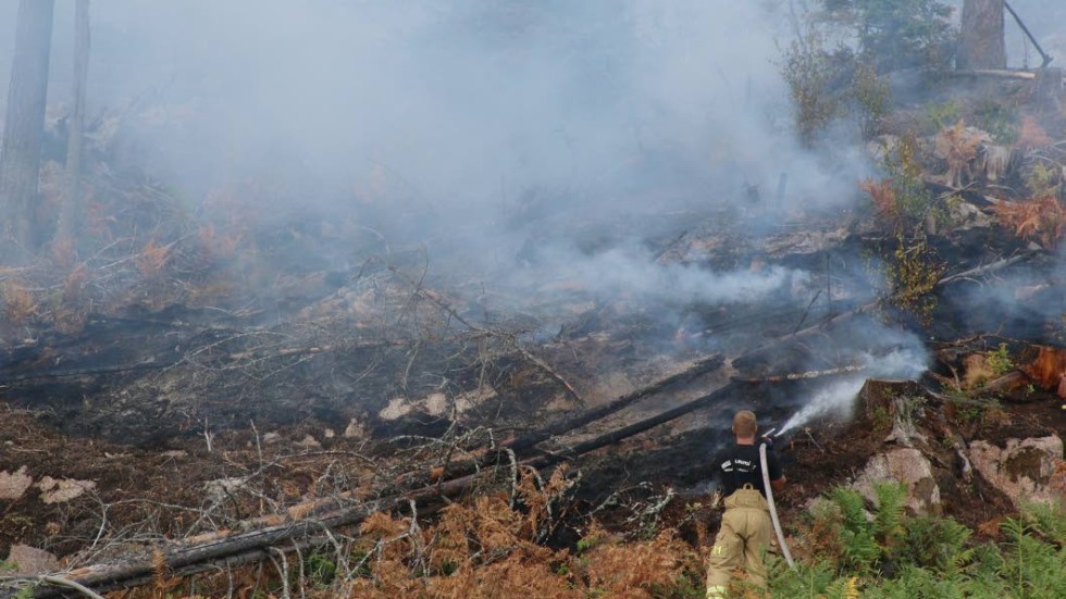 Räddningstjänsten för ytterligare 952 700 i ersättning för arbetet med skogsbränderna i Dalarna och Jämtland.
