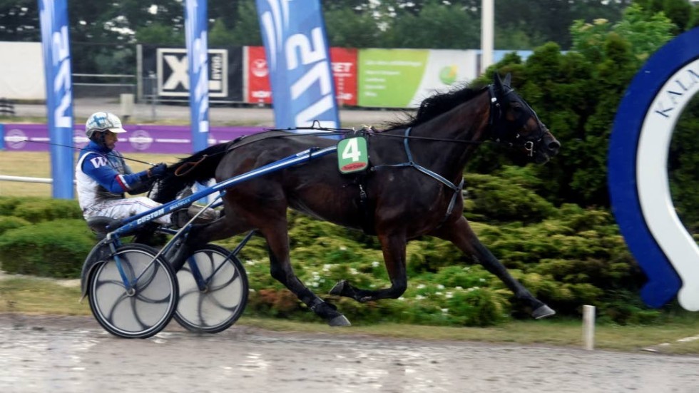 Ryssebo La Reine vann finalen av Diamantstoet på Åby i sin V75-debut.