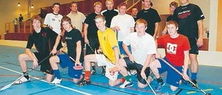 Innebandy i Södra Vi