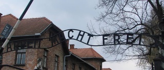 Besök i Auschwitz föreslås