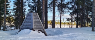 Läsarbilden: Ser du vårspöket?