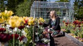 Uppsalaförfattare belyser trädgårdens bortglömda hjältar