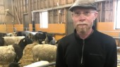 Får stulet ur hage – kan ha jagats: "Väldigt olustigt"