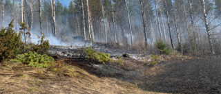 Gräsbrand på en åker