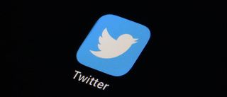 Twitter rensar bort inaktiva konton