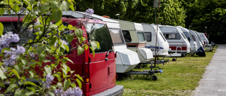 Svag krona fyller svenska campingar