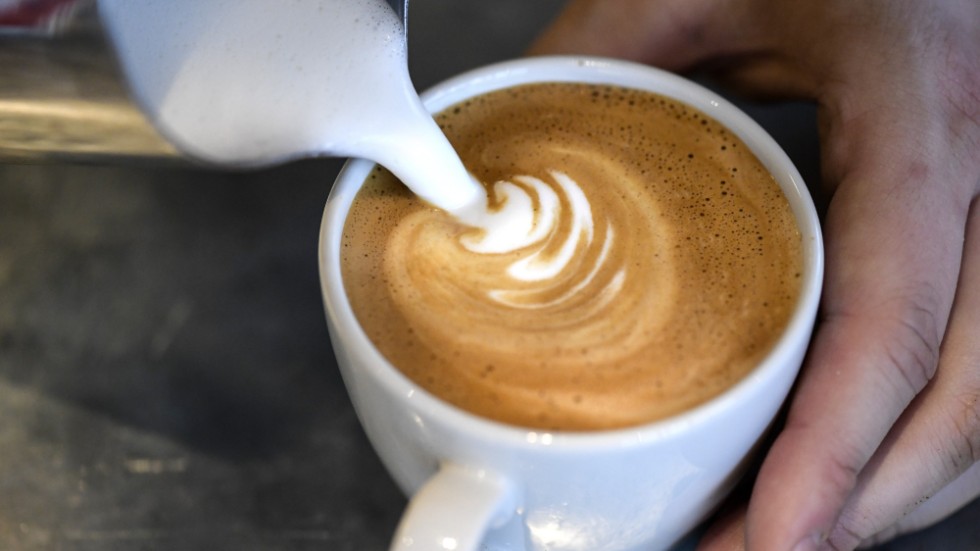 Etiopiens kaffeodlingar har under det senaste decenniet drabbats av stora skördeförluster. Arkivbild.