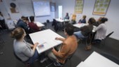 Kritik: SFI-elever lär sig inte vardagsspråket