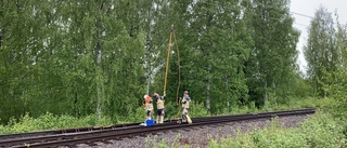 Terrängbrand vid bostadsområde i Skellefteå