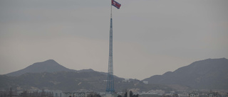 Allt färre röster inifrån Nordkorea