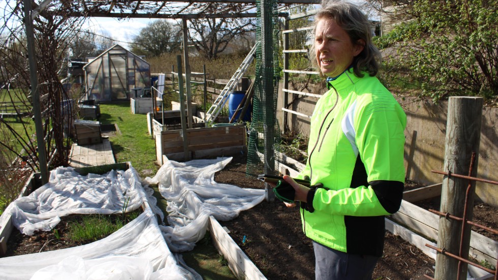 Sofia Nyström har ett system där hon försöker rotera odlingarna för att jorden bland annat inte ska bli utarmad.