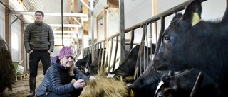 Beskedet: Kraftigt försämrad ersättning för mjölk i norr