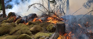 Skogsbrand utanför Uppsala    